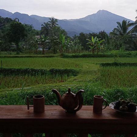 Coconut Homestay Тетебату Экстерьер фото