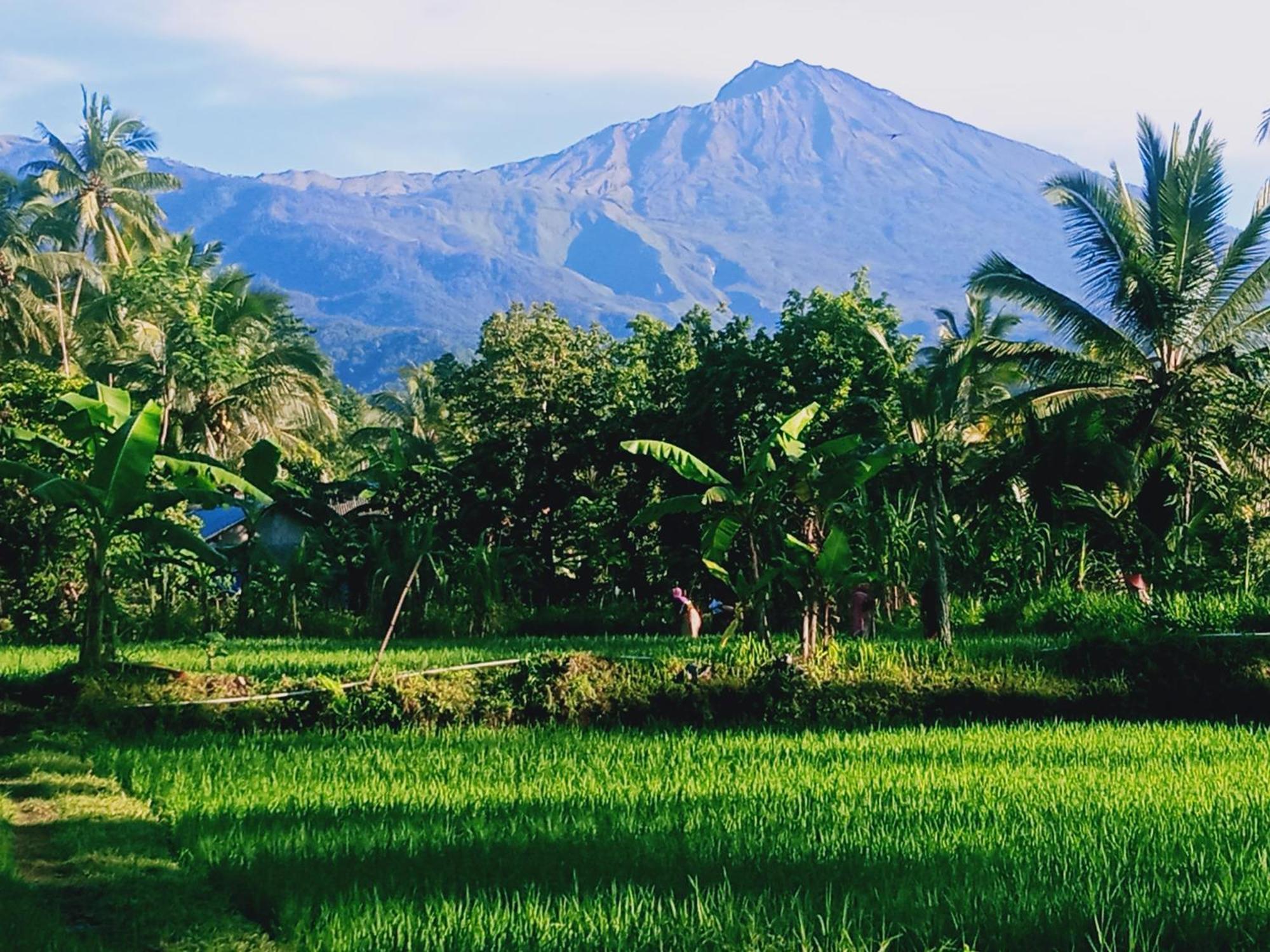 Coconut Homestay Тетебату Экстерьер фото