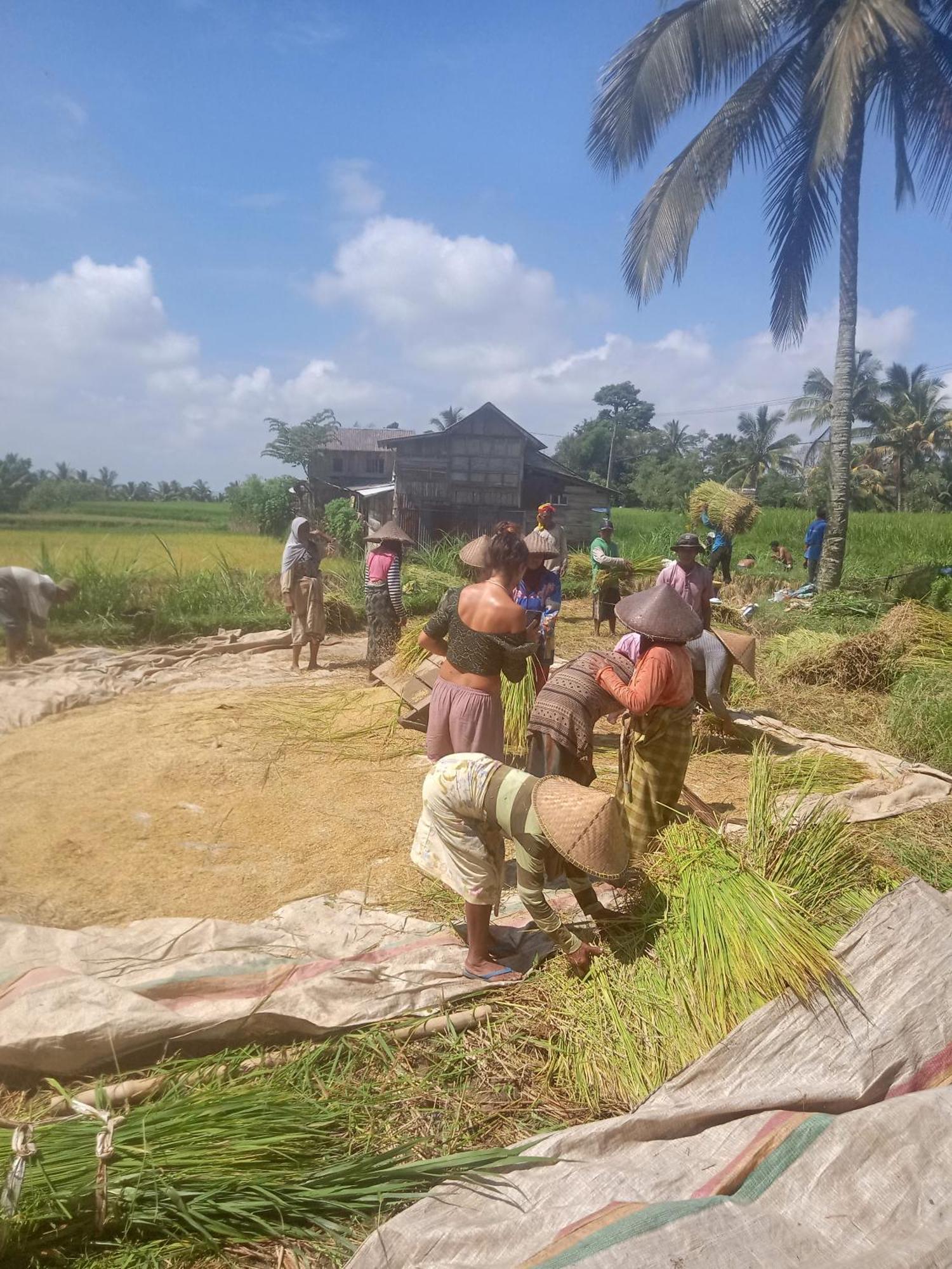 Coconut Homestay Тетебату Экстерьер фото