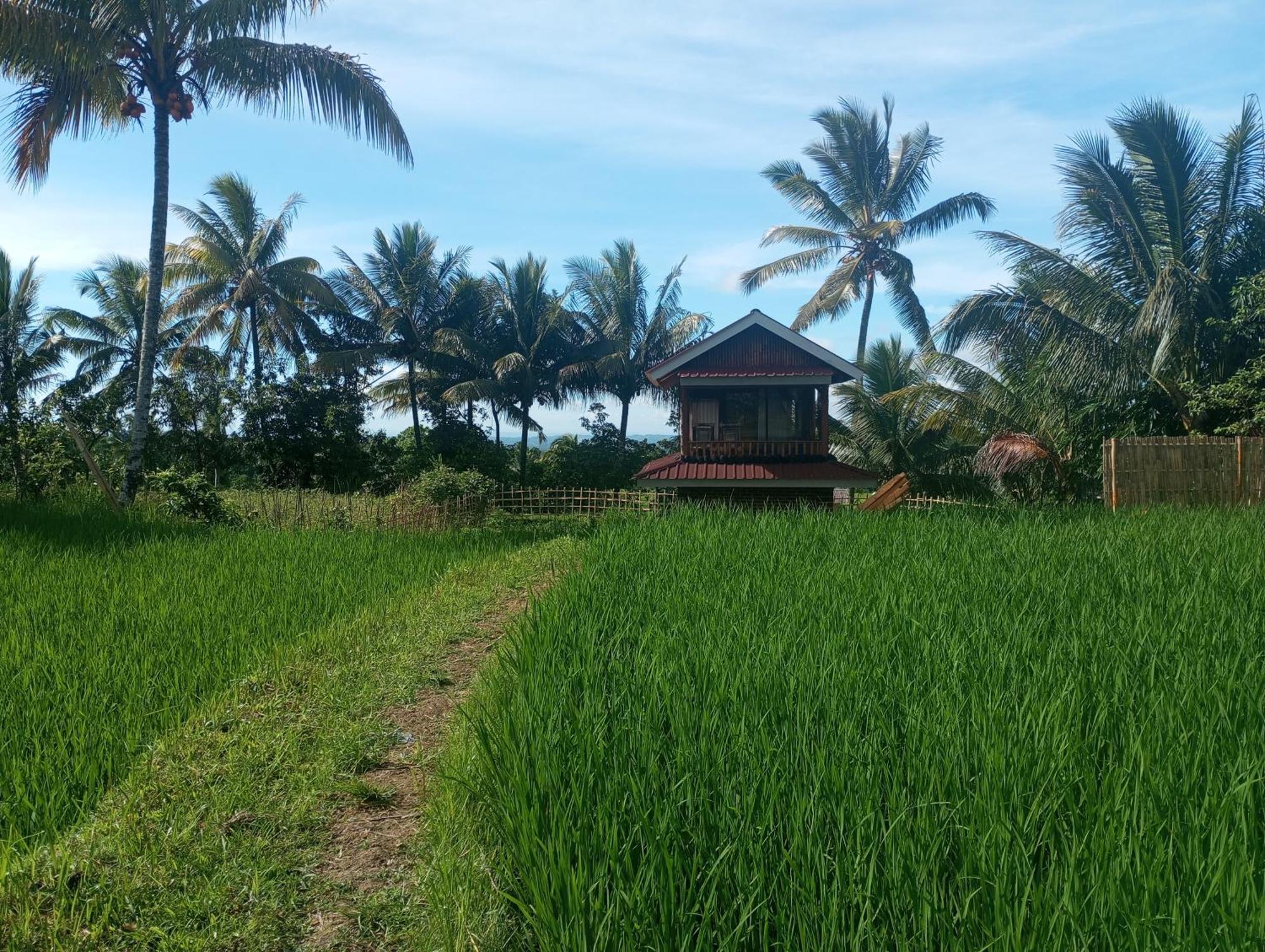 Coconut Homestay Тетебату Экстерьер фото