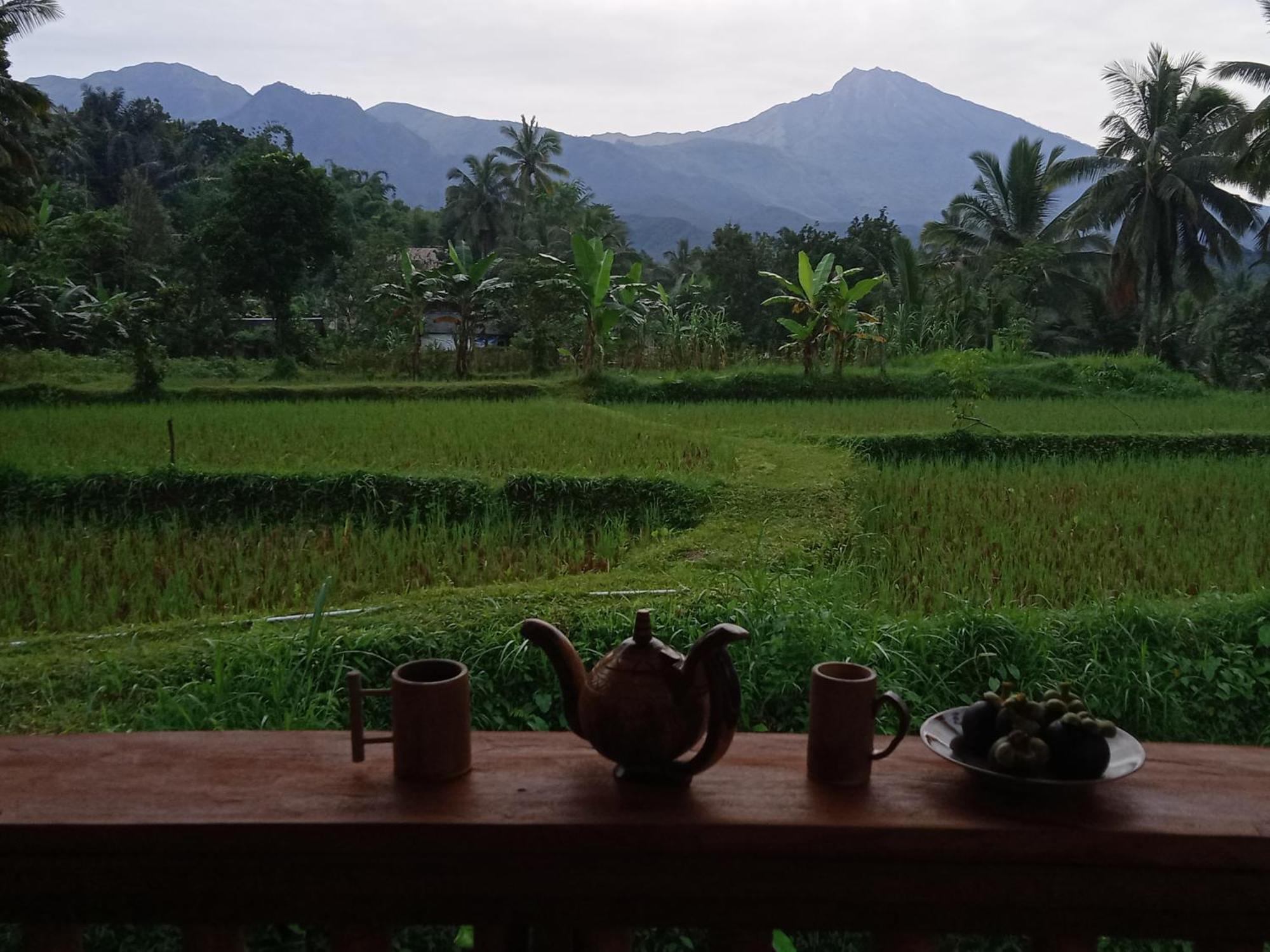 Coconut Homestay Тетебату Экстерьер фото